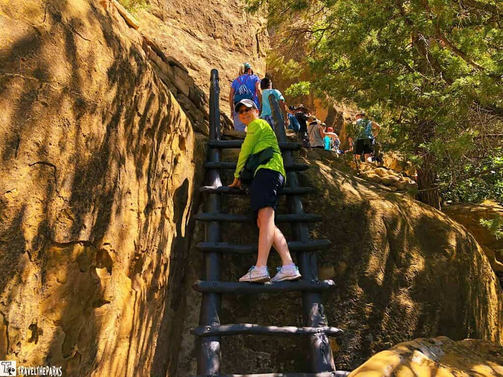 People climbing a wooden ladder on a rocky cliff surrounded by foliage.