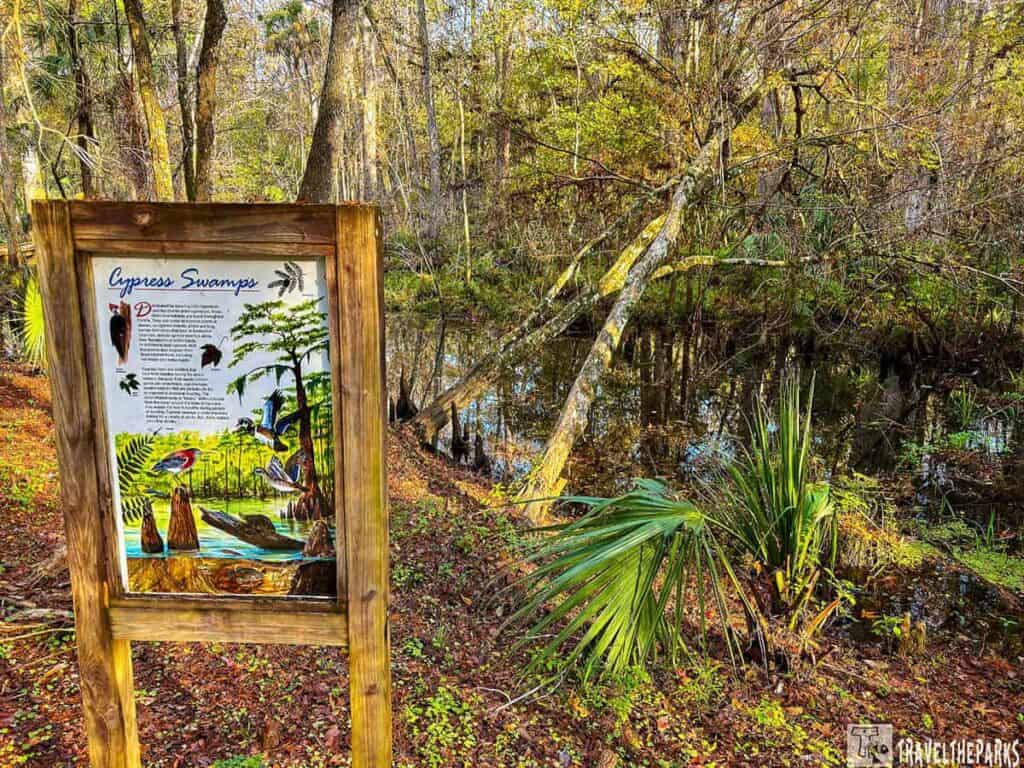 Wooden sign titled "Cypress Swamps" in a forested park with a swampy background.

