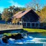 A rustic wooden structure by a flowing spring at Deleon Springs State Park, surrounded by trees.