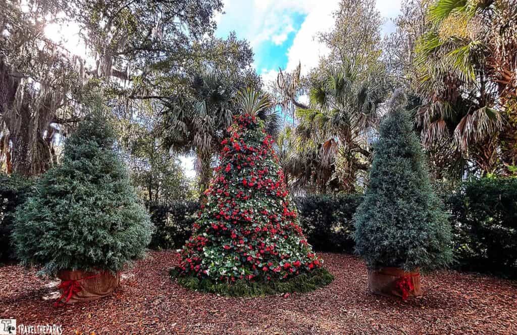 A festive floral arrangement resembling a Christmas tree, flanked by two potted evergreens with red ribbons, surrounded by tall trees and Spanish moss.

