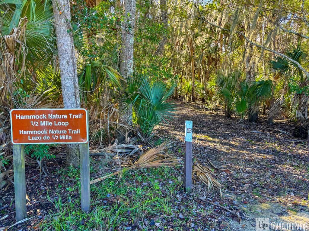 Entrance to the Hammock Nature Trail at Lake Woodruff NWR with sign and forest path.