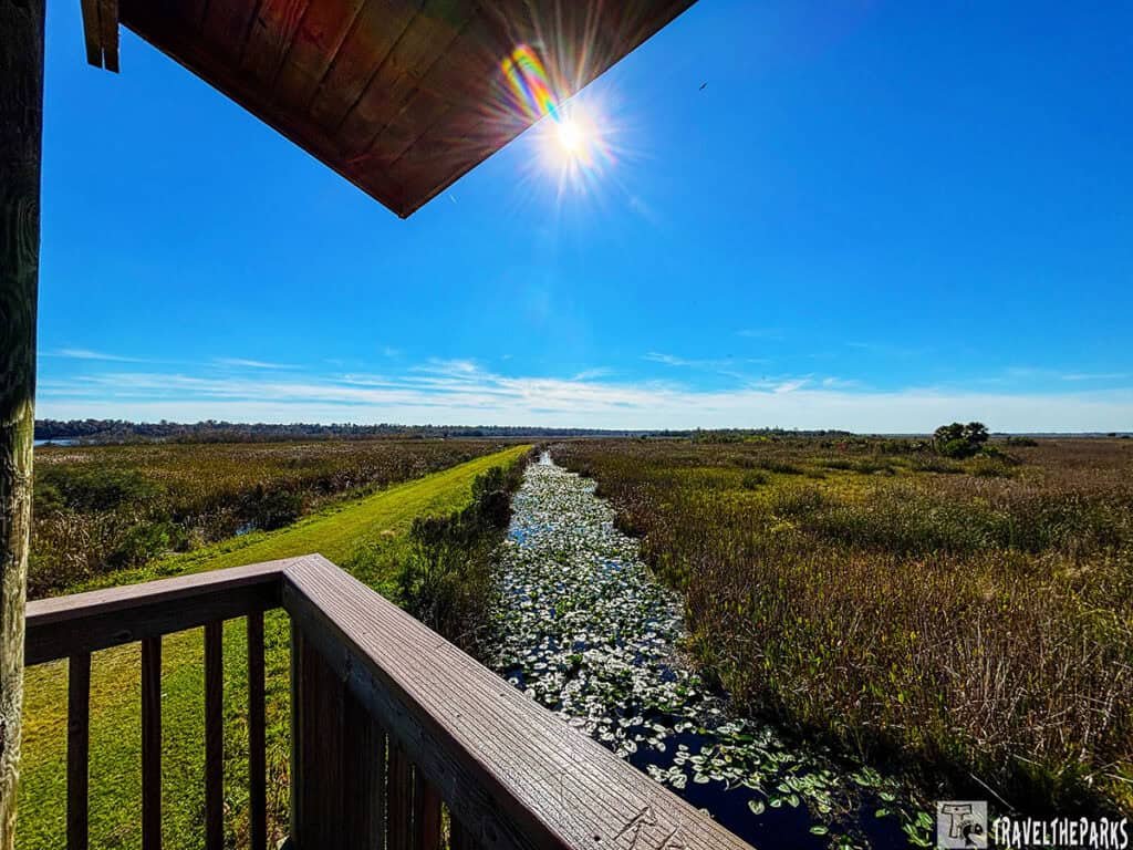 View from a wooden structure overlooking a wetland with a waterway and lily pads, under a clear blue sky with the sun shining brightly.