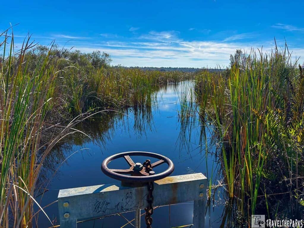 Lake Woodruff National Wildlife Refuge wetlands and freshwater marsh