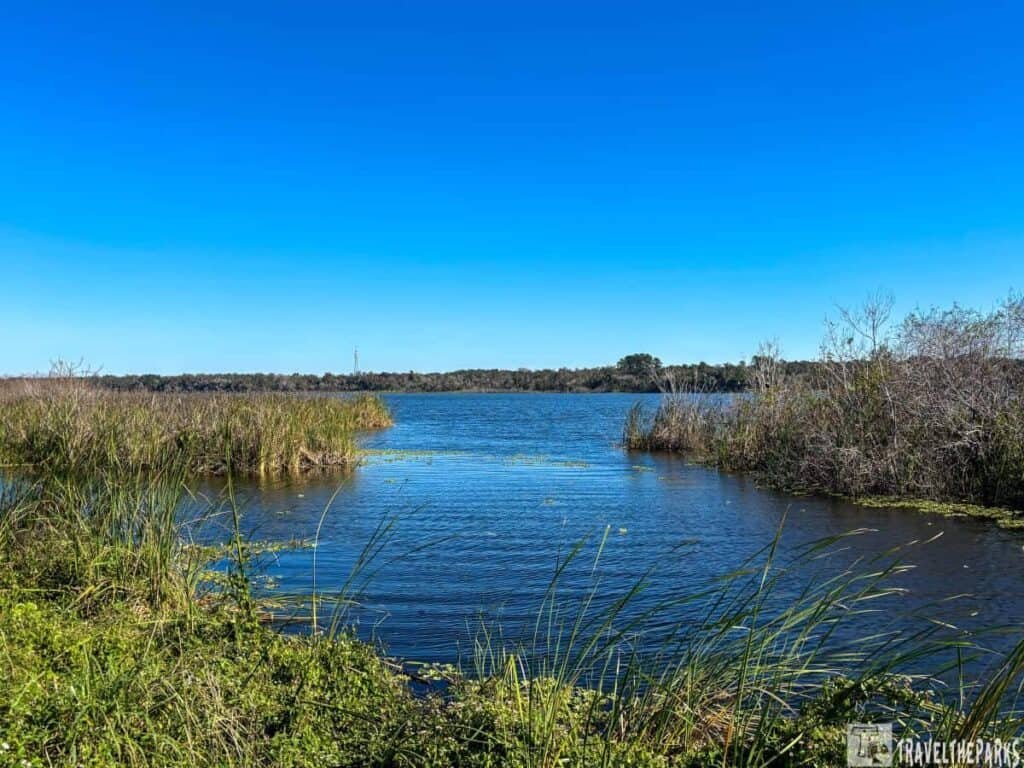 Lake Woodruff National Wildlife Refuge wetlands and freshwater marsh along Spring Garden Lake.