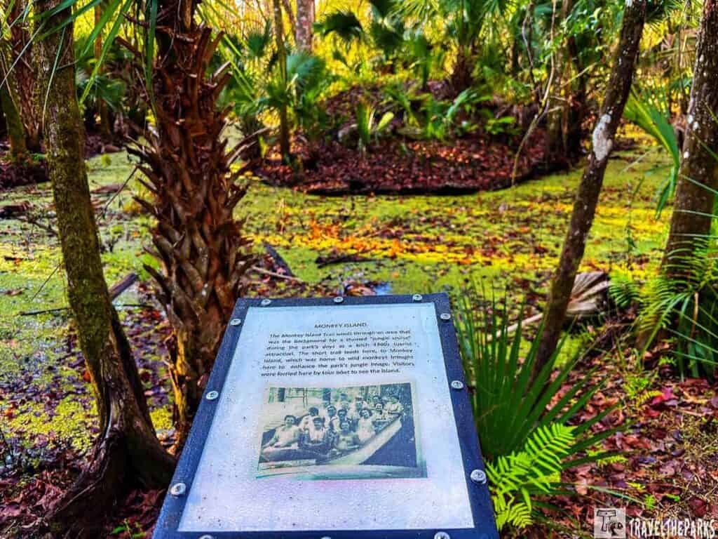 Sign about Monkey Island in a tropical forest setting at Deleon Springs State Park.

