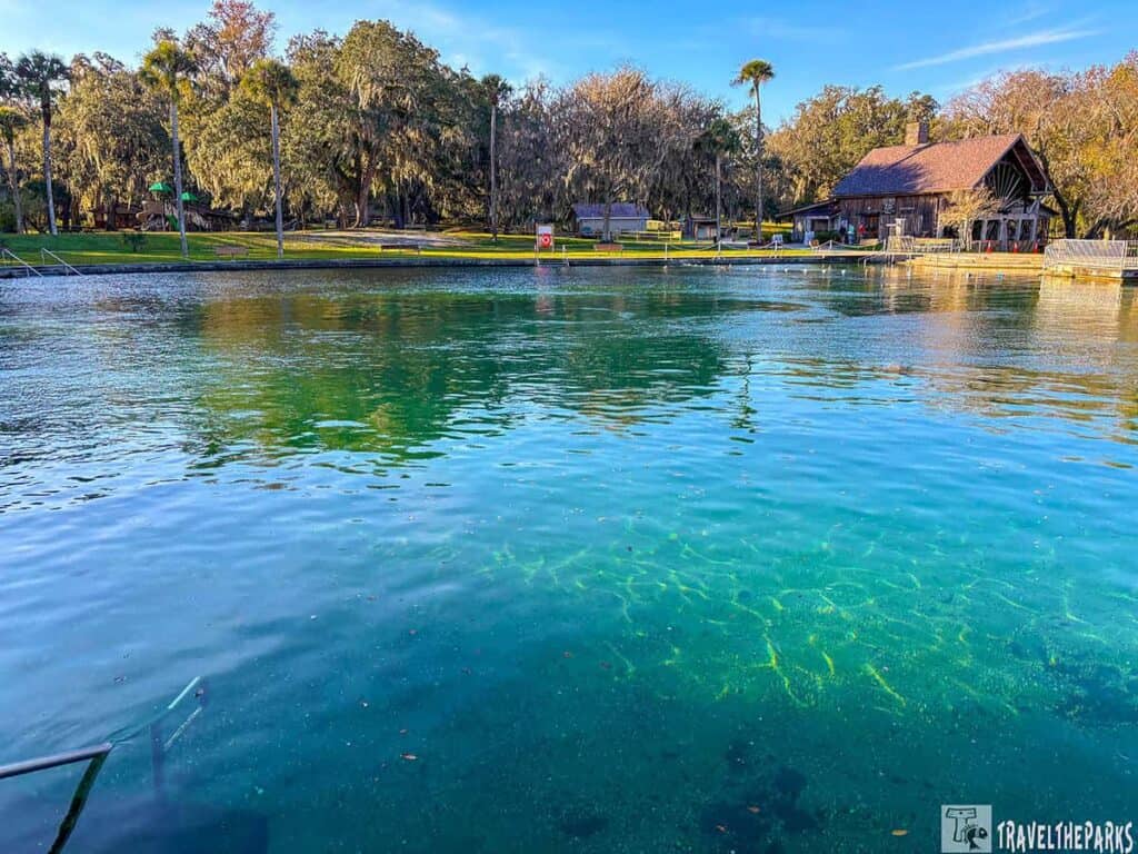 View of DeLeon Springs in Florida with clear turquoise water, a grassy shoreline with trees, and a rustic wooden building.

