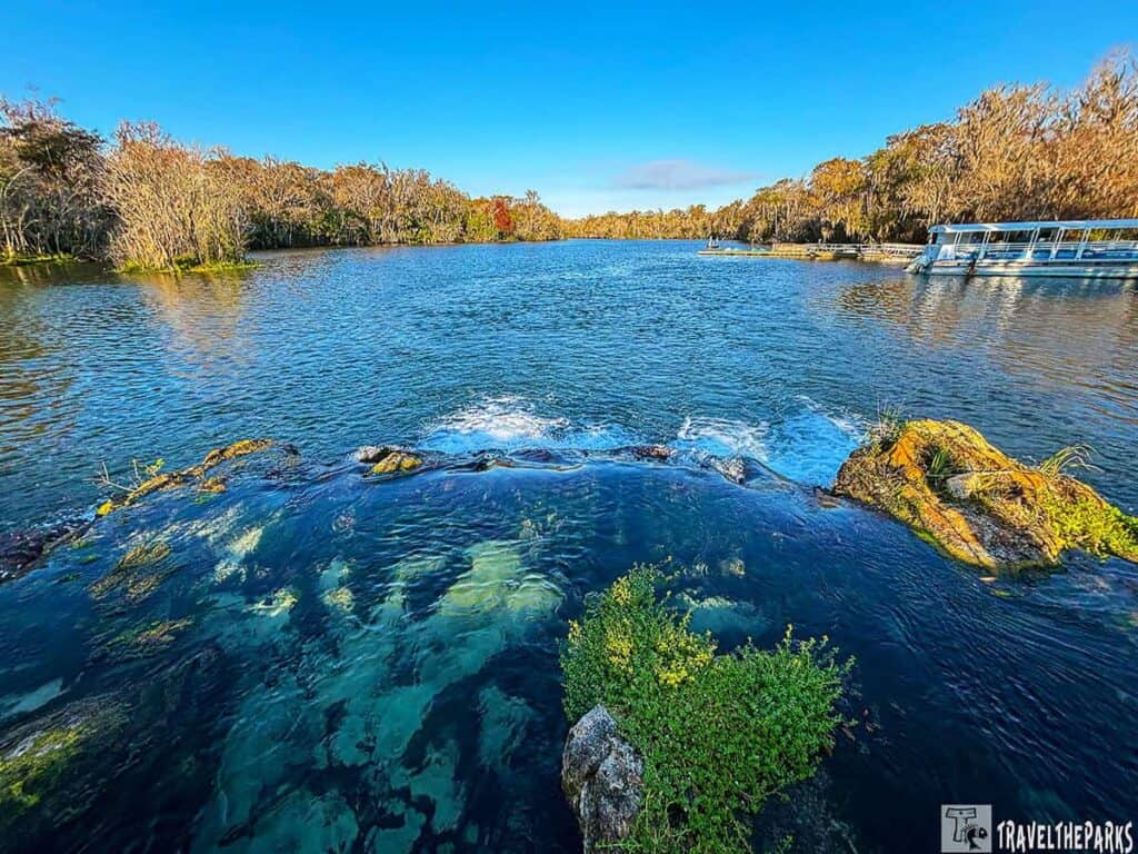 View of De Leon Springs Spring Run with clear water, moss-covered rocks, a small waterfall, surrounding trees, and a docked tour boat.

