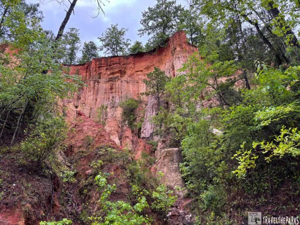Canyon view with colorful rock formations and dense green foliage at Providence Canyon State Park.