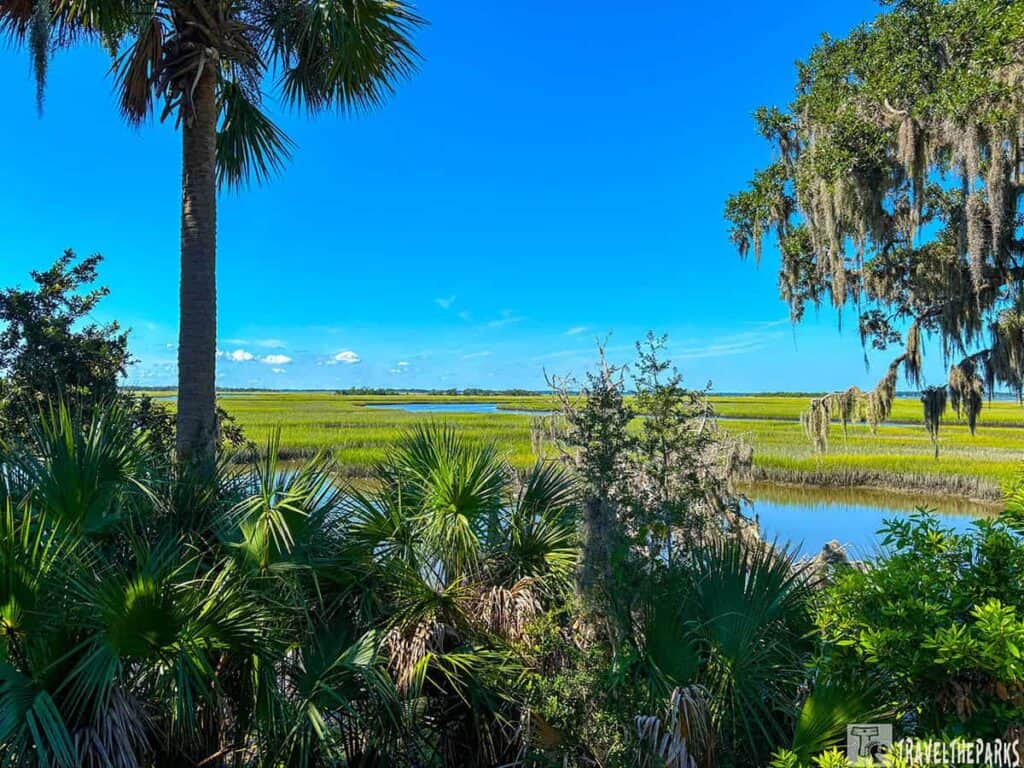 View of Cumberland Island's marsh and trees seen through a window, showcasing the natural landscape.