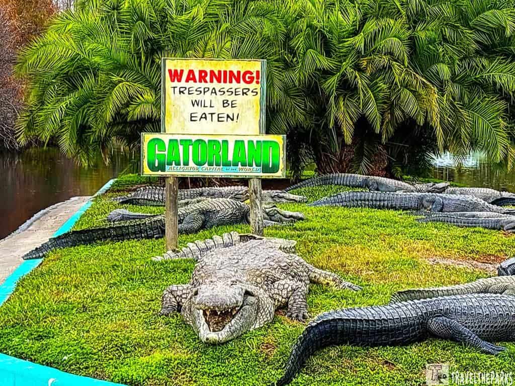 A group of alligators on grass with a warning sign at Gatorland in front of palm trees and water.