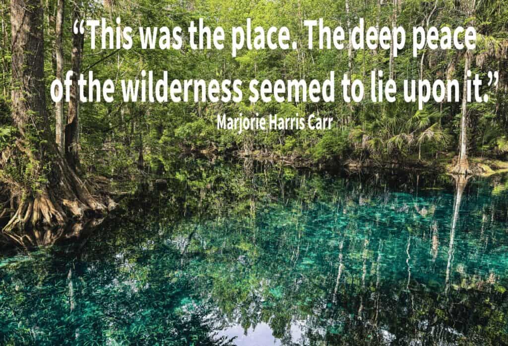 "This was the place. The deep peace of the wilderness seemed to lie upon it." Marjorie Harris Carr