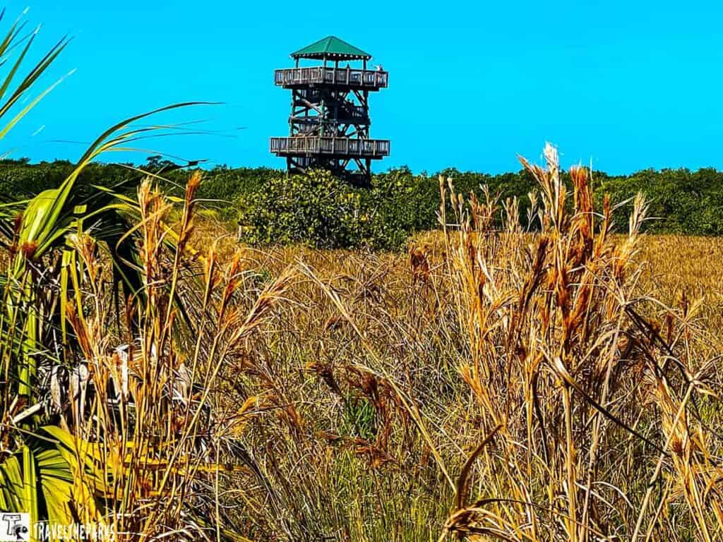 Observation tower at Robinson Preserve surrounded by dry grass and greenery under a blue sky.

