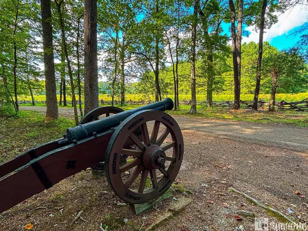 Historic cannon on display at Yorktown National Battlefield driving tour among trees and a wooden fence.