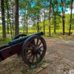 Historic cannon on display at Yorktown National Battlefield driving tour among trees and a wooden fence.