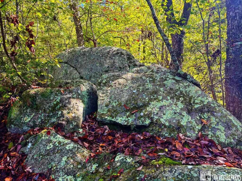 Large boulders covered in moss and fallen leaves in a forest.