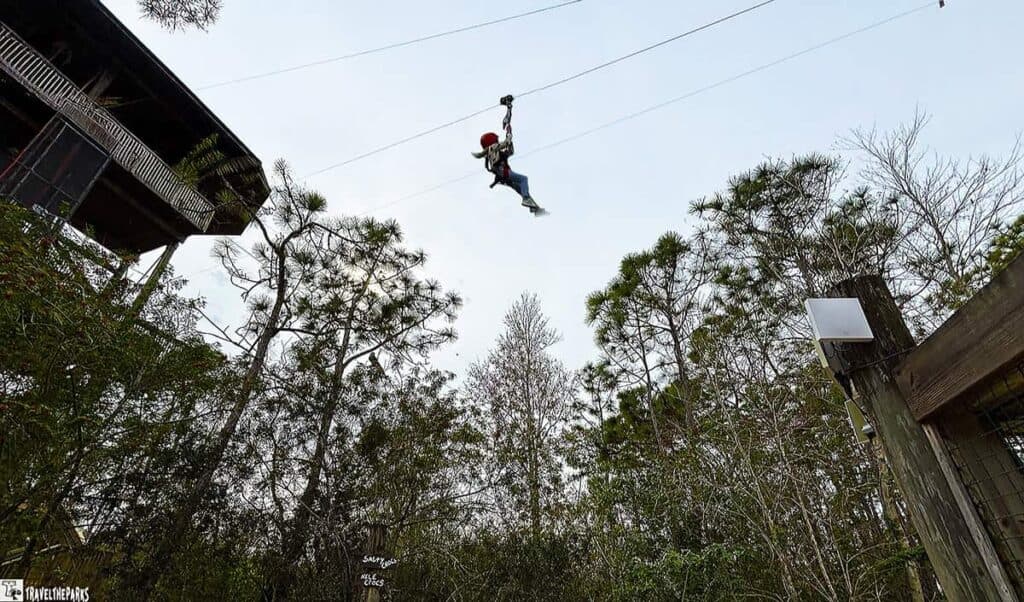 Person zip-lining over tree tops with a clear sky in the background.

