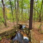 The bridge abutments for the perimeter road from the POW era are visible here where the road crossed Tom’s Run.