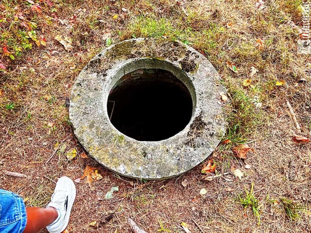 Top view of a stone water well surrounded by dry grass and leaves, with a person's foot in a white sneaker visible.