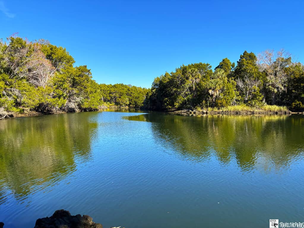 A tranquil river scene with reflections of lush green trees under a clear blue sky at Crystal River Preserve State Park.