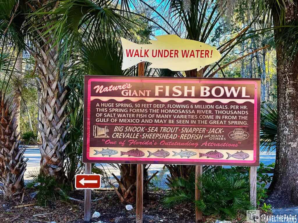 Sign in tropical setting reads "Nature's Giant Fish Bowl," describing a 50-foot deep spring. Red arrow sign and "Walk Under Water!" above convey excitement.