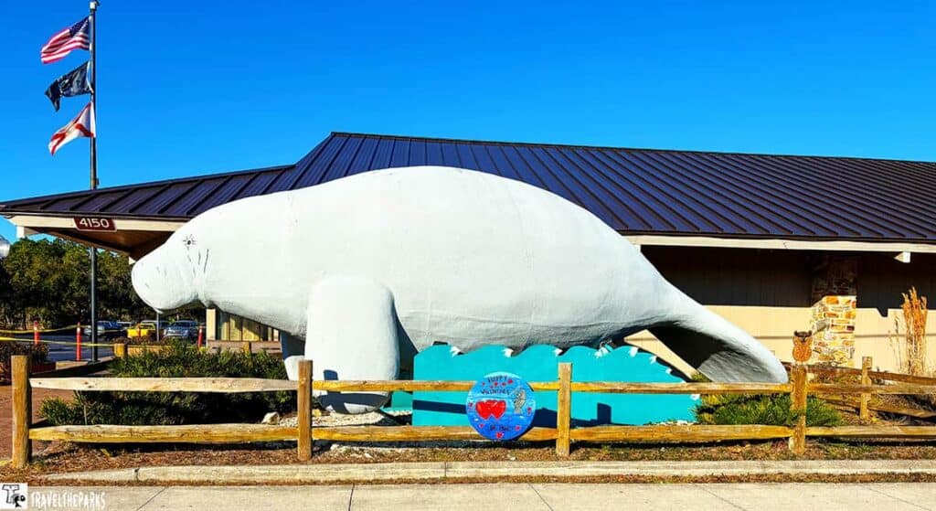 At Homosassa Springs State Park a large white manatee statue in front of a building with a dark roof, surrounded by a wooden fence. Flags are flying in the clear blue sky.
