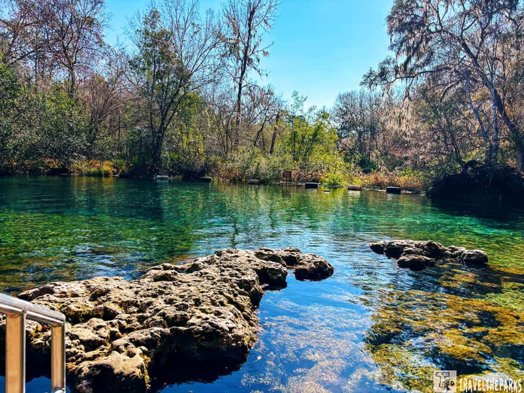 View of clear turquoise spring with rocky formations and surrounding trees at Ichetucknee Springs State Park.