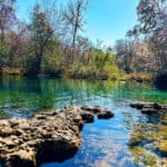 View of clear turquoise spring with rocky formations and surrounding trees at Ichetucknee Springs State Park.
