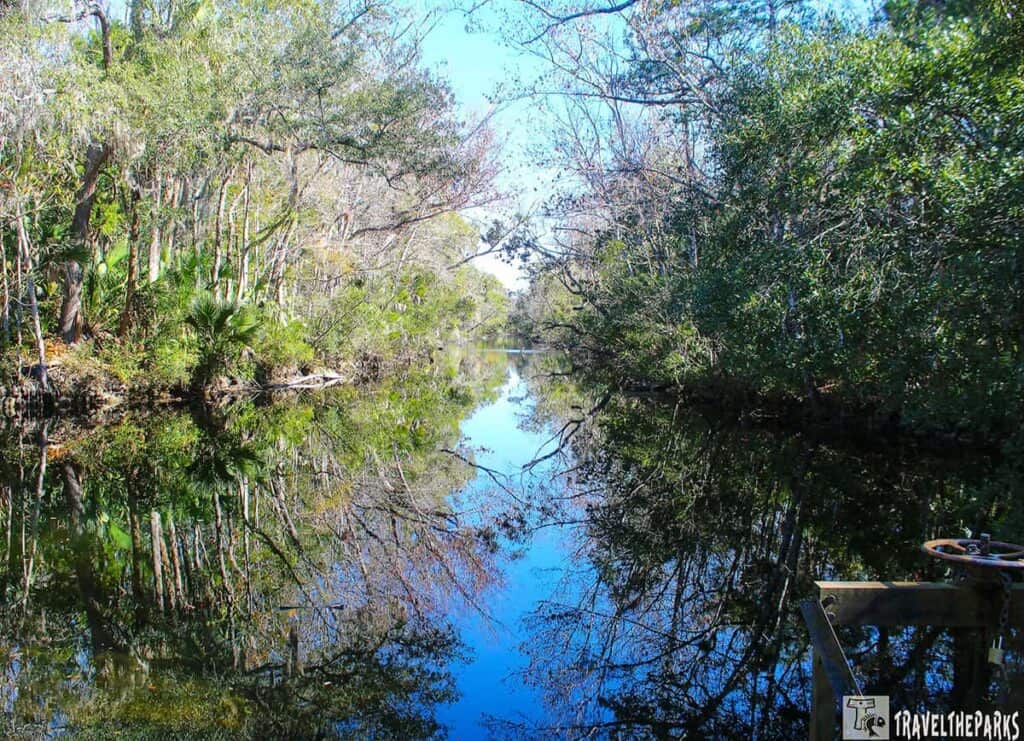 Ellie Schiller Homosassa Springs Wildlife State Park calm, reflective river lined with lush green trees under a clear blue sky, creating a serene, mirror-like effect on the water's surface.