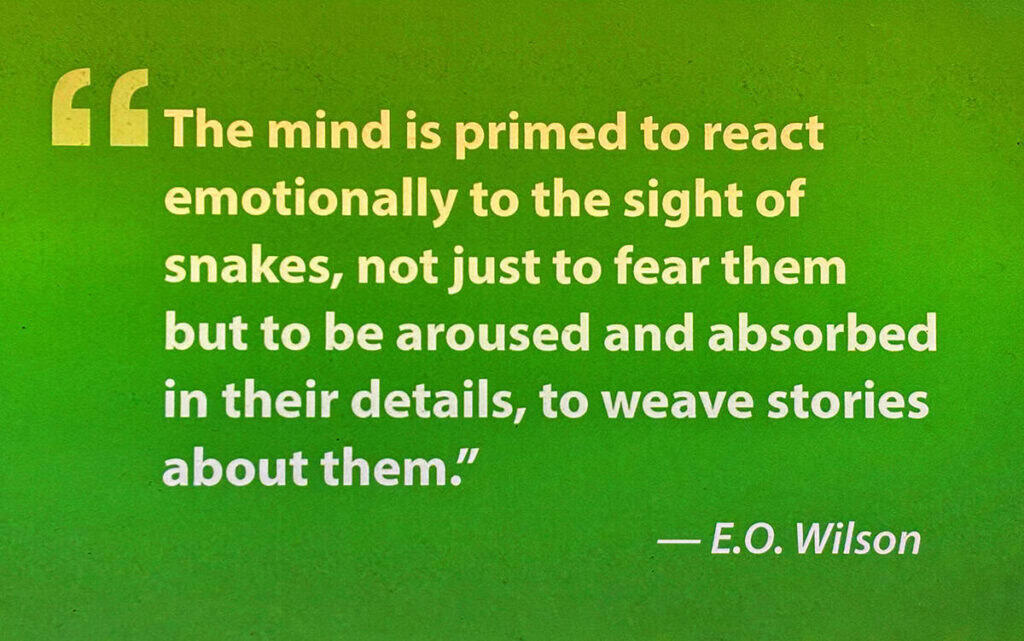 The image features a quote by E.O. Wilson on a green gradient background. It discusses the mind's emotional response to snakes, evoking curiosity and storytelling.