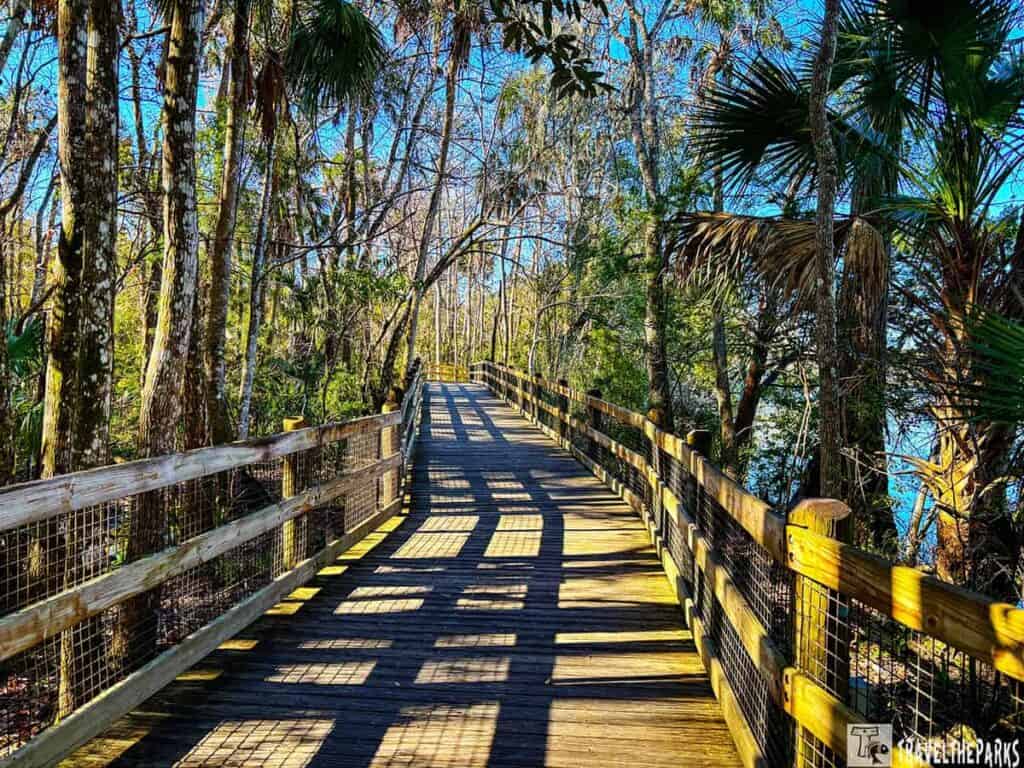 Sunny wooden boardwalk through lush forest with tall trees and dense foliage. Shadows create a grid pattern on the path, evoking tranquility at Homosassa Springs Wildlife State Park.