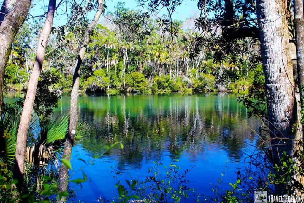 A serene, clear blue lake bordered by lush green trees on a sunny day. The calm water reflects the vibrant foliage, creating a tranquil scene at Ellie Schiller Homosassa Springs Wildlife State Park