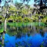 A serene, clear blue lake bordered by lush green trees on a sunny day. The calm water reflects the vibrant foliage, creating a tranquil scene at Ellie Schiller Homosassa Springs Wildlife State Park