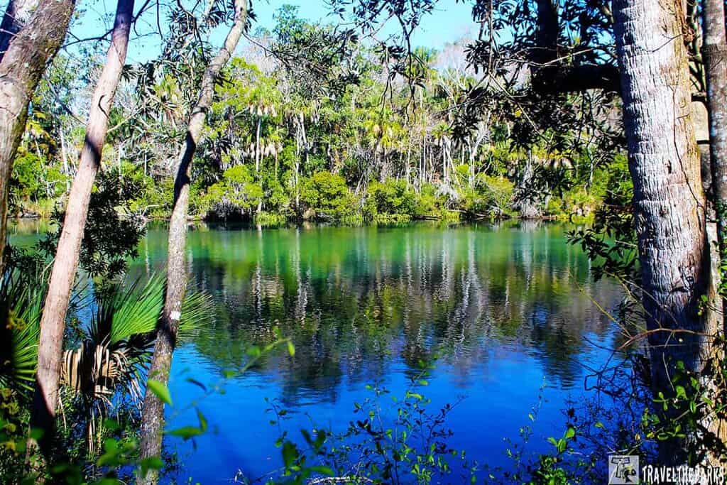 A serene, clear blue lake bordered by lush green trees on a sunny day. The calm water reflects the vibrant foliage, creating a tranquil scene at Ellie Schiller Homosassa Springs Wildlife State Park