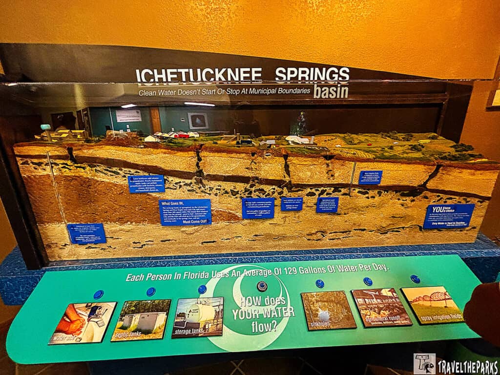 A cross-sectional diorama of Ichetucknee Springs basin with educational plaques and visual aids.