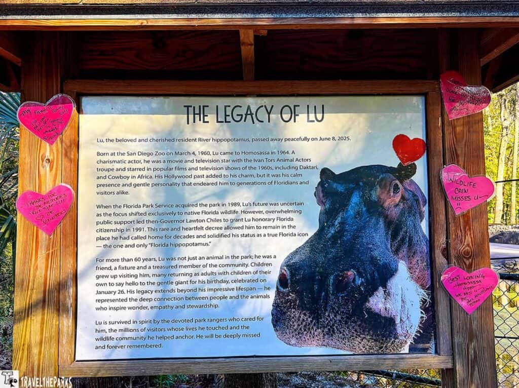 A memorial board titled "The Legacy of Lu" features an image of a hippo surrounded by heart-shaped notes, expressing love and remembrance. The tone is warm and nostalgic.