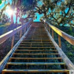 Wooden stairs ascending a top of Temple Mound A with trees and Spanish moss in the background.