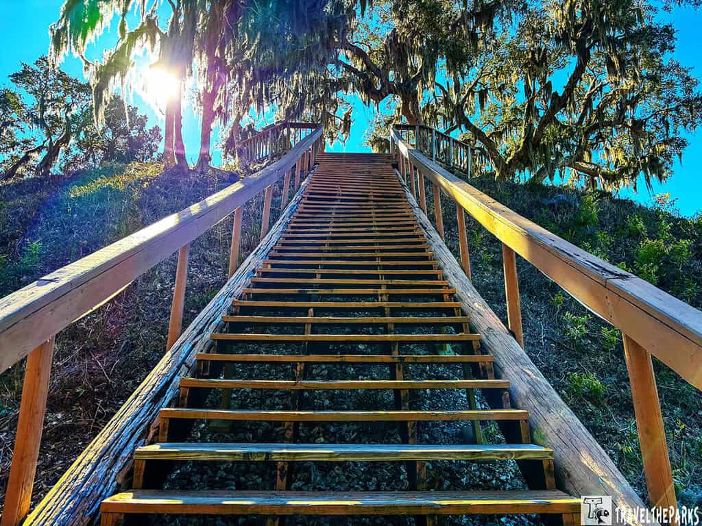 Wooden stairs ascending a top of Temple Mound A with trees and Spanish moss in the background.