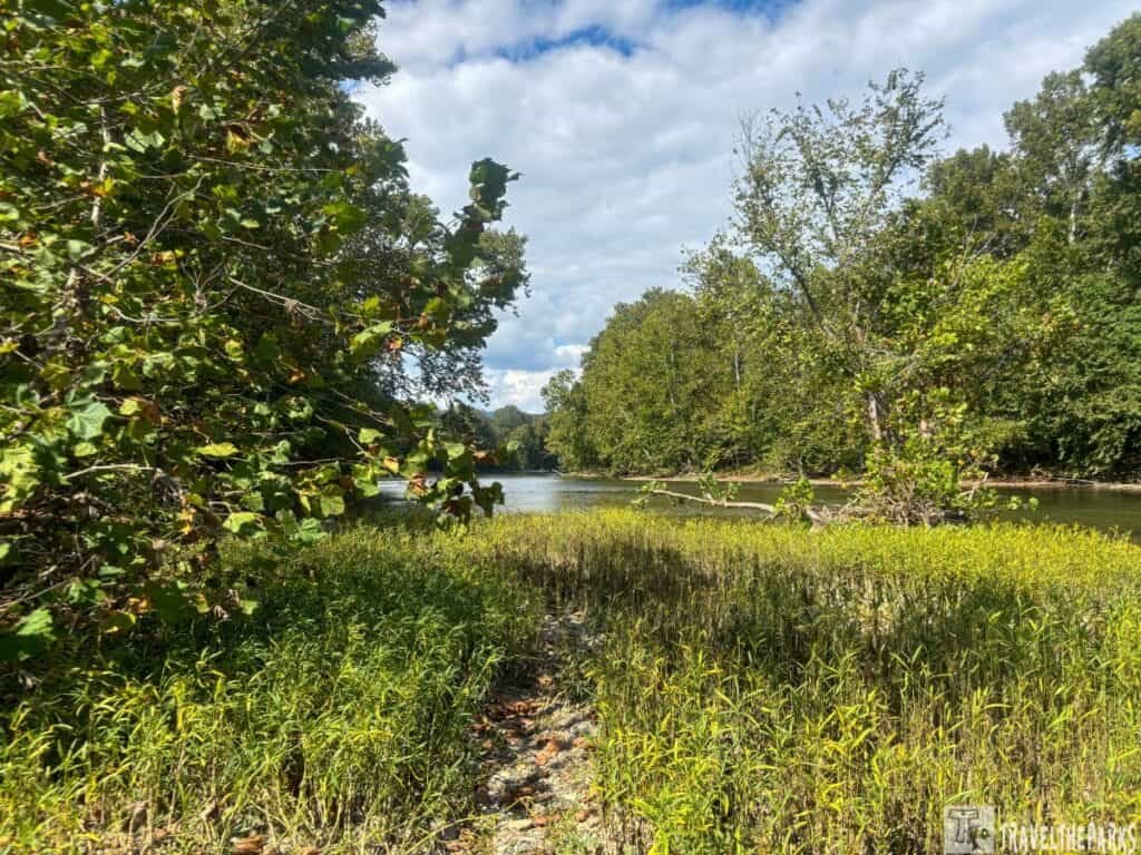 View of a river surrounded by lush greenery and tall trees at Shenandoah River State Park.