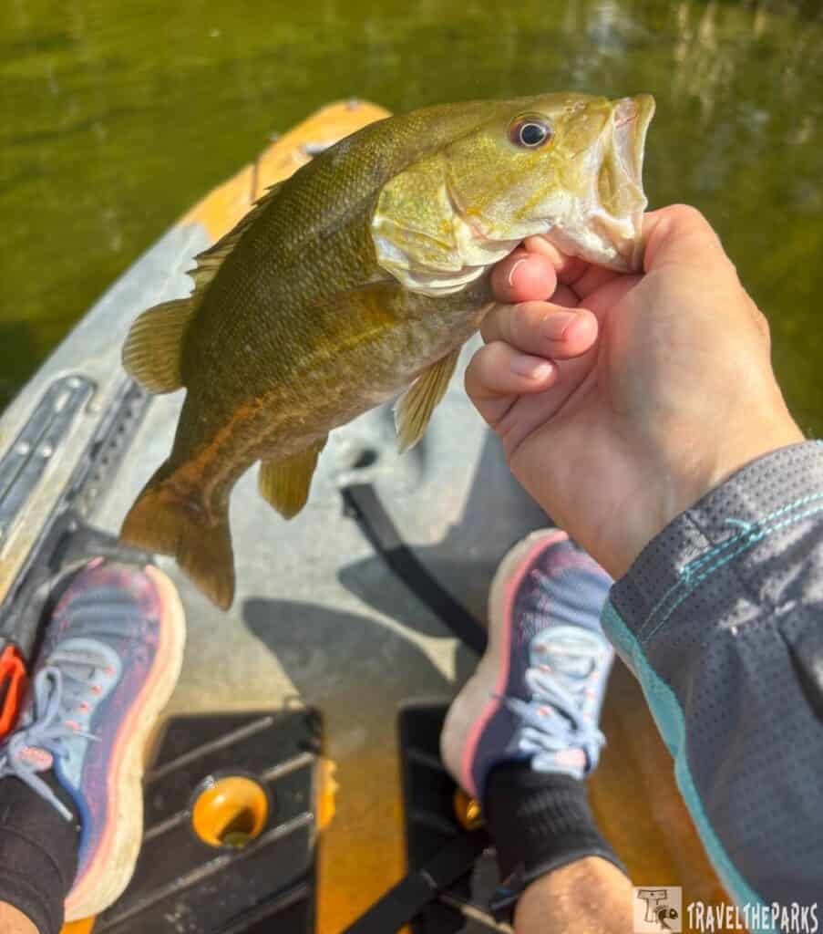 A person holding a fish over a kayak with green water in the background.
