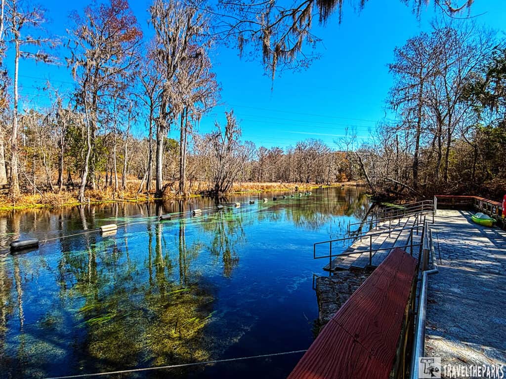 Clear blue spring in Ichetucknee Springs State Park with trees lining the water and a wooden walkway on the right.