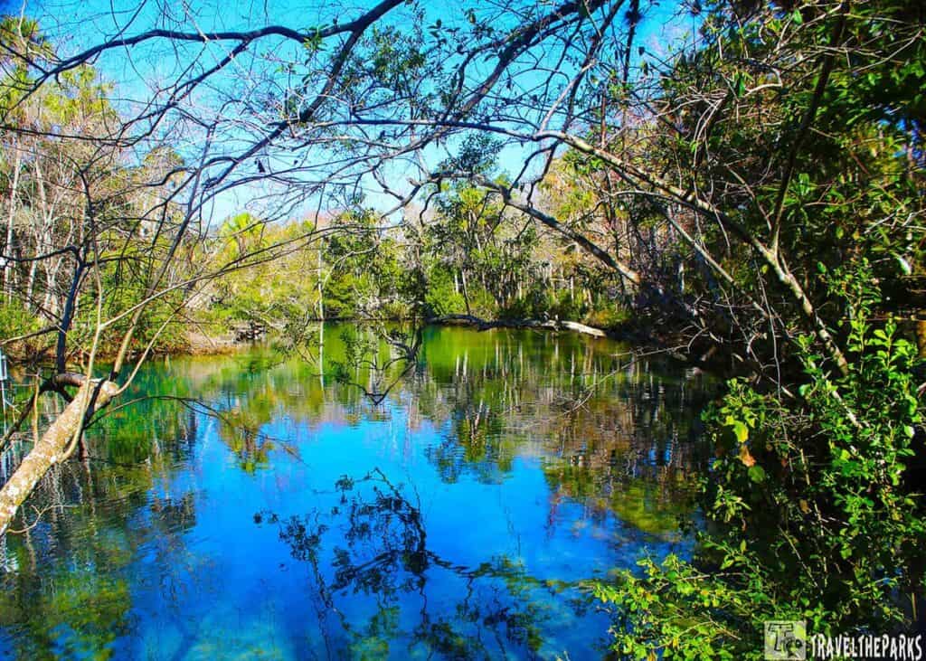 Serene scene of a clear, blue spring surrounded by lush greenery and trees under a vibrant blue sky. Tranquil and inviting natural landscape.