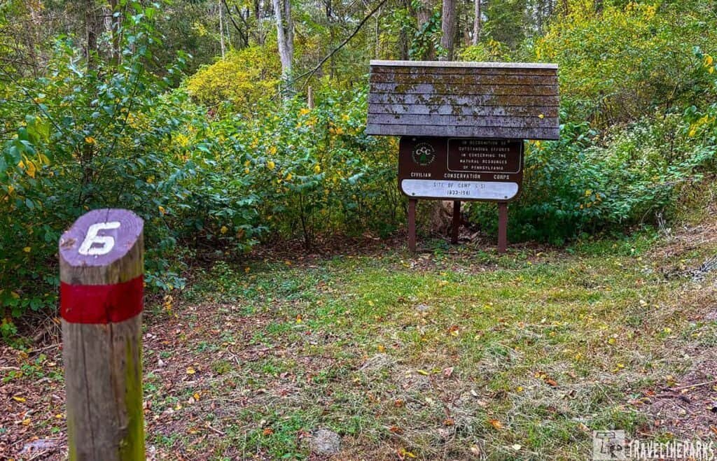 A wooded area with a marked post labeled "6" in front of a large sign, surrounded by dense foliage on the Camp Michaux Walking Tour.