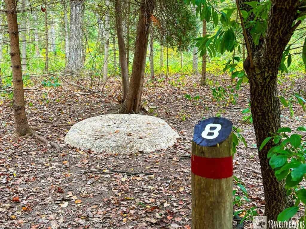 Stop-8-Forest area with a wooden post marked "8" and a circular stone slab in the background.
