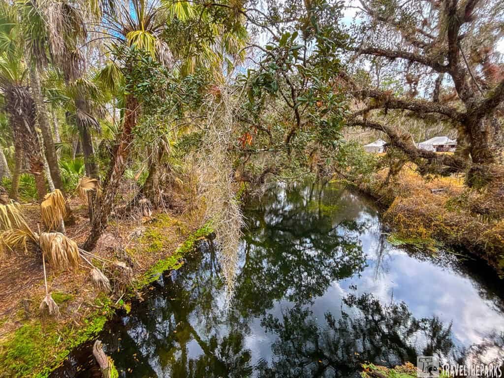 A reflective Hillsborough River surrounded by palm trees and woodland, with partial buildings visible in the distance.