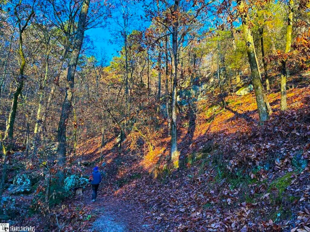 A person walks along a leaf-covered path in a forest at Gulpha Gorge Campground, surrounded by tall trees under a blue sky.

