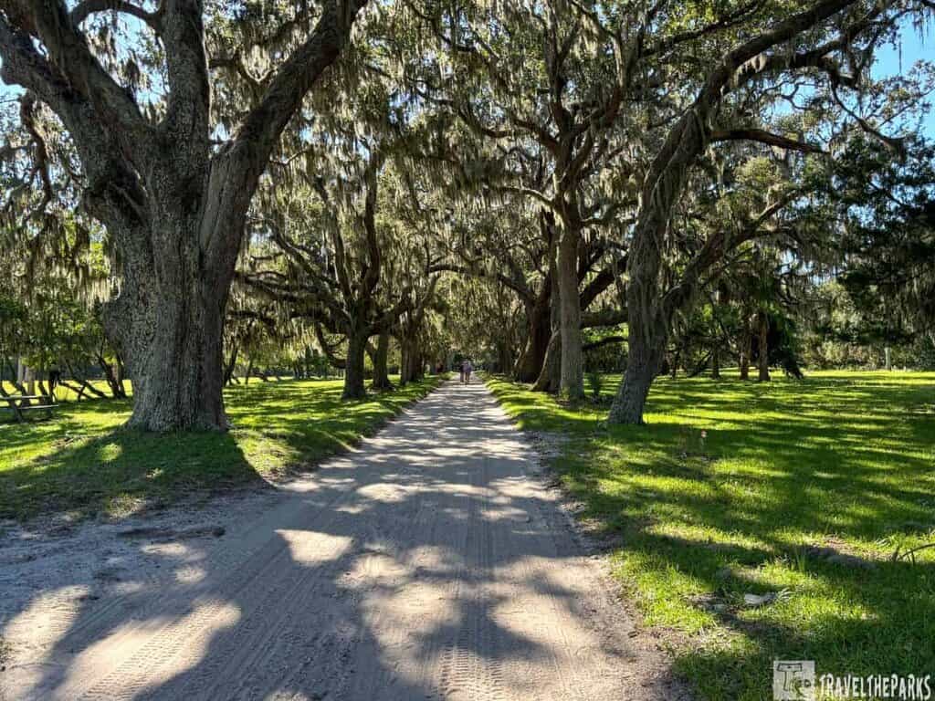 A shaded sandy path under oak trees with Spanish moss on Cumberland Island.