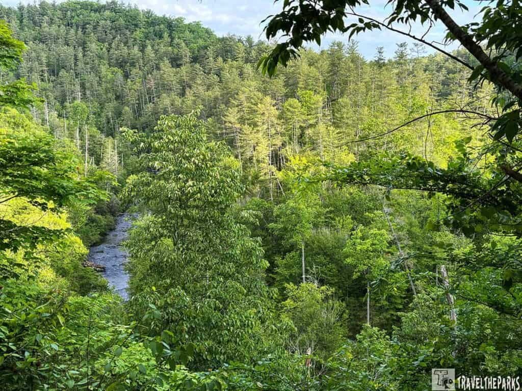The Abrams river winding through a dense green forest under a blue sky.