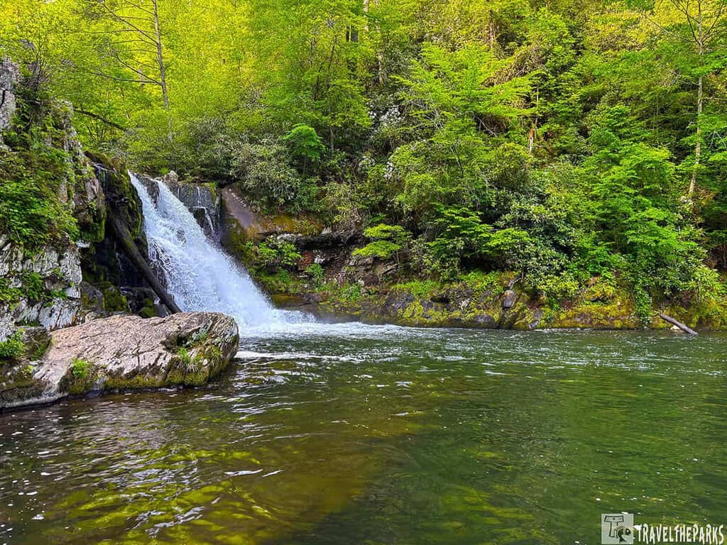 Abram Falls: Waterfall cascading over rocks into a pool with lush green foliage.