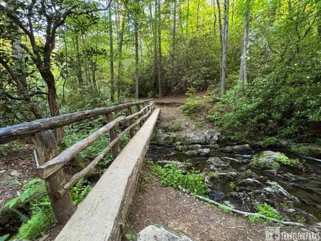 A wooden footbridge crosses a small stream in a dense, green forest.