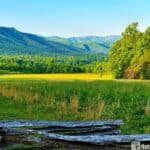 A scenic view of Cades Cove with a wooden fence, grassy meadow, dense trees, and distant mountains under a clear blue sky.